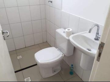 Alugar Apartamento / Padr&atilde;o em S&atilde;o Jos&eacute; do Rio Preto R$ 800,00 - Foto 8
