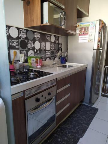 Alugar Apartamento / Padr&atilde;o em S&atilde;o Jos&eacute; do Rio Preto. apenas R$ 180.000,00