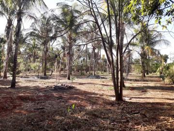 Comprar Rural / Ch&aacute;cara em S&atilde;o Jos&eacute; do Rio Preto R$ 720.000,00 - Foto 16