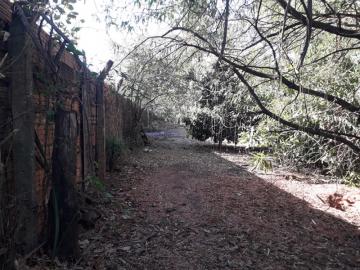 Comprar Rural / Ch&aacute;cara em S&atilde;o Jos&eacute; do Rio Preto R$ 720.000,00 - Foto 17