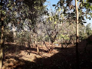 Comprar Rural / Ch&aacute;cara em S&atilde;o Jos&eacute; do Rio Preto R$ 720.000,00 - Foto 18