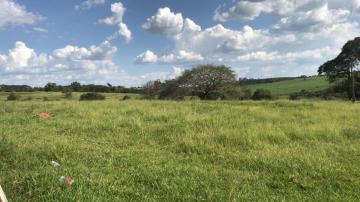 Comprar Rural / S&iacute;tio em S&atilde;o Jos&eacute; do Rio Preto R$ 7.000.000,00 - Foto 4