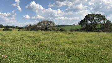 Comprar Terreno / &Aacute;rea em S&atilde;o Jos&eacute; do Rio Preto R$ 7.000.000,00 - Foto 4