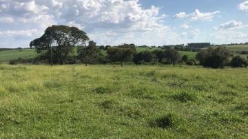 Comprar Terreno / &Aacute;rea em S&atilde;o Jos&eacute; do Rio Preto R$ 7.000.000,00 - Foto 8