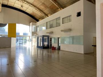 Alugar Comercial / Sal&atilde;o em S&atilde;o Jos&eacute; do Rio Preto R$ 28.000,00 - Foto 3