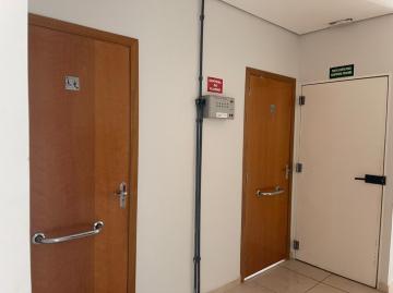 Alugar Comercial / Sala em S&atilde;o Jos&eacute; do Rio Preto R$ 1.250,00 - Foto 19