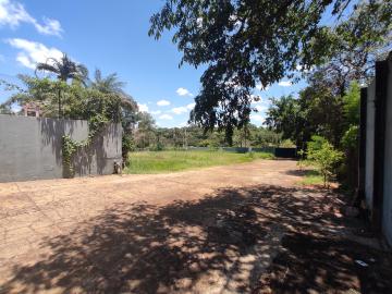 Alugar Comercial / Casa Comercial em S&atilde;o Jos&eacute; do Rio Preto R$ 16.000,00 - Foto 3
