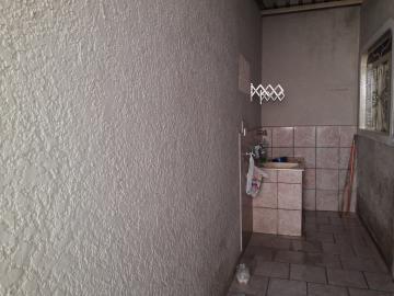 Alugar Casa / Padr&atilde;o em S&atilde;o Jos&eacute; do Rio Preto R$ 1.300,00 - Foto 10