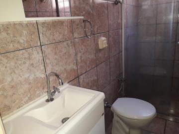 Alugar Casa / Padr&atilde;o em S&atilde;o Jos&eacute; do Rio Preto R$ 1.300,00 - Foto 7