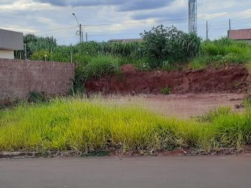 Terreno / Padr&atilde;o em S&atilde;o Jos&eacute; do Rio Preto 