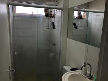 Alugar Apartamento / Padr&atilde;o em S&atilde;o Jos&eacute; do Rio Preto R$ 1.200,00 - Foto 8