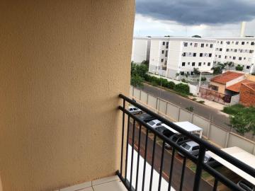 Alugar Apartamento / Padr&atilde;o em S&atilde;o Jos&eacute; do Rio Preto R$ 1.200,00 - Foto 11