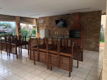 Alugar Apartamento / Padr&atilde;o em S&atilde;o Jos&eacute; do Rio Preto R$ 1.200,00 - Foto 12