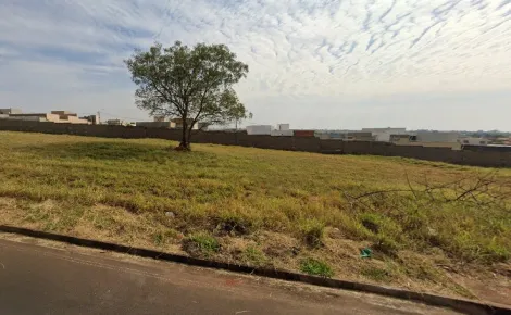 Terreno / Padr&atilde;o em S&atilde;o Jos&eacute; do Rio Preto 