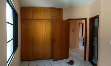 Alugar Apartamento / Padr&atilde;o em S&atilde;o Jos&eacute; do Rio Preto R$ 700,00 - Foto 2