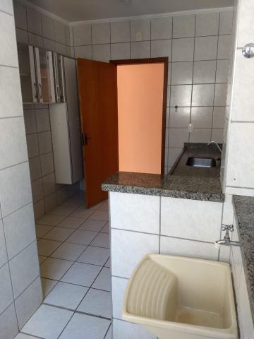 Alugar Apartamento / Padr&atilde;o em S&atilde;o Jos&eacute; do Rio Preto R$ 700,00 - Foto 6
