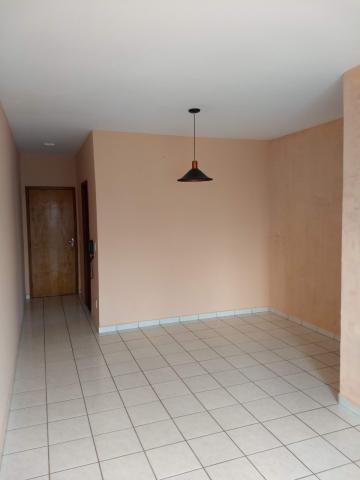 Alugar Apartamento / Padr&atilde;o em S&atilde;o Jos&eacute; do Rio Preto R$ 700,00 - Foto 8