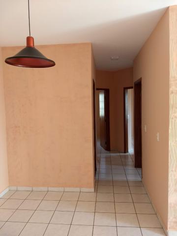 Alugar Apartamento / Padr&atilde;o em S&atilde;o Jos&eacute; do Rio Preto R$ 700,00 - Foto 10