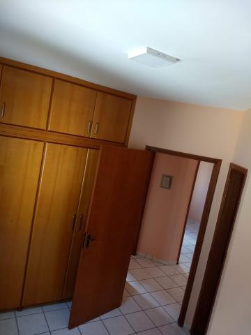 Alugar Apartamento / Padr&atilde;o em S&atilde;o Jos&eacute; do Rio Preto R$ 700,00 - Foto 9