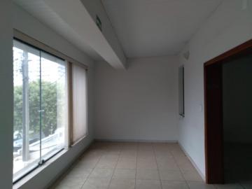 Alugar Comercial / Casa Comercial em S&atilde;o Jos&eacute; do Rio Preto R$ 5.000,00 - Foto 14