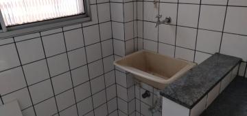 Alugar Apartamento / Padr&atilde;o em S&atilde;o Jos&eacute; do Rio Preto R$ 700,00 - Foto 7