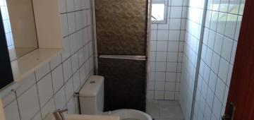 Alugar Apartamento / Padr&atilde;o em S&atilde;o Jos&eacute; do Rio Preto R$ 700,00 - Foto 8