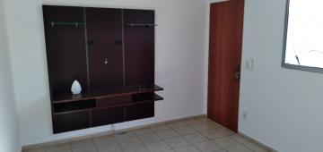 Alugar Apartamento / Padr&atilde;o em S&atilde;o Jos&eacute; do Rio Preto R$ 700,00 - Foto 12
