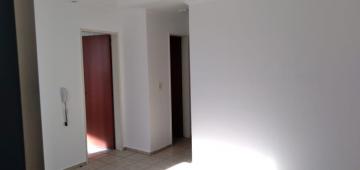 Alugar Apartamento / Padr&atilde;o em S&atilde;o Jos&eacute; do Rio Preto R$ 700,00 - Foto 5