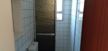 Alugar Apartamento / Padr&atilde;o em S&atilde;o Jos&eacute; do Rio Preto R$ 700,00 - Foto 14