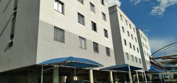 Alugar Apartamento / Padr&atilde;o em S&atilde;o Jos&eacute; do Rio Preto R$ 700,00 - Foto 2