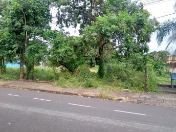 Comprar Terreno / &Aacute;rea em S&atilde;o Jos&eacute; do Rio Preto R$ 1.500.000,00 - Foto 6