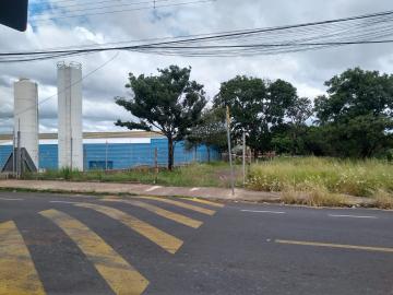 Terreno / &Aacute;rea em S&atilde;o Jos&eacute; do Rio Preto 