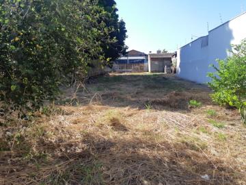 Comprar Terreno / &Aacute;rea em S&atilde;o Jos&eacute; do Rio Preto R$ 2.200.000,00 - Foto 26