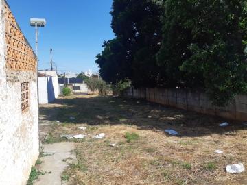 Comprar Terreno / &Aacute;rea em S&atilde;o Jos&eacute; do Rio Preto R$ 2.200.000,00 - Foto 27