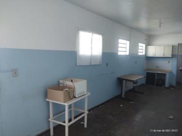 Comprar Terreno / &Aacute;rea em S&atilde;o Jos&eacute; do Rio Preto R$ 2.200.000,00 - Foto 17