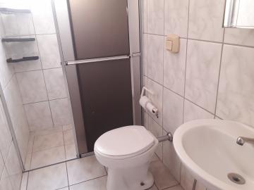 Alugar Apartamento / Padr&atilde;o em S&atilde;o Jos&eacute; do Rio Preto R$ 900,00 - Foto 9