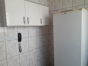 Alugar Apartamento / Padr&atilde;o em S&atilde;o Jos&eacute; do Rio Preto R$ 900,00 - Foto 6