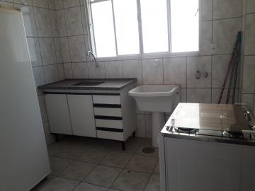 Alugar Apartamento / Padr&atilde;o em S&atilde;o Jos&eacute; do Rio Preto R$ 900,00 - Foto 5