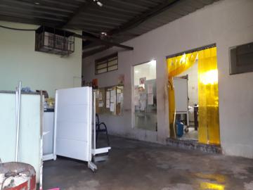 Comprar Comercial / Casa Comercial em S&atilde;o Jos&eacute; do Rio Preto R$ 980.000,00 - Foto 6