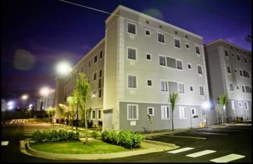 Alugar Apartamento / Padr&atilde;o em S&atilde;o Jos&eacute; do Rio Preto. apenas R$ 800,00