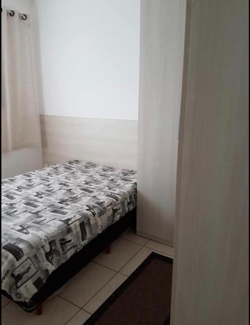 Alugar Apartamento / Padr&atilde;o em S&atilde;o Jos&eacute; do Rio Preto R$ 800,00 - Foto 11
