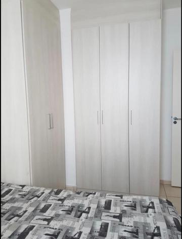 Alugar Apartamento / Padr&atilde;o em S&atilde;o Jos&eacute; do Rio Preto R$ 800,00 - Foto 10