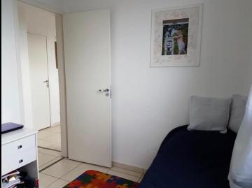 Alugar Apartamento / Padr&atilde;o em S&atilde;o Jos&eacute; do Rio Preto R$ 800,00 - Foto 9