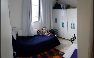 Alugar Apartamento / Padr&atilde;o em S&atilde;o Jos&eacute; do Rio Preto R$ 800,00 - Foto 6