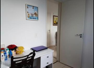 Alugar Apartamento / Padr&atilde;o em S&atilde;o Jos&eacute; do Rio Preto R$ 800,00 - Foto 8