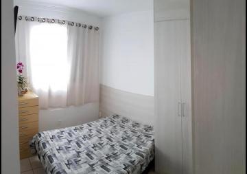 Alugar Apartamento / Padr&atilde;o em S&atilde;o Jos&eacute; do Rio Preto R$ 800,00 - Foto 7