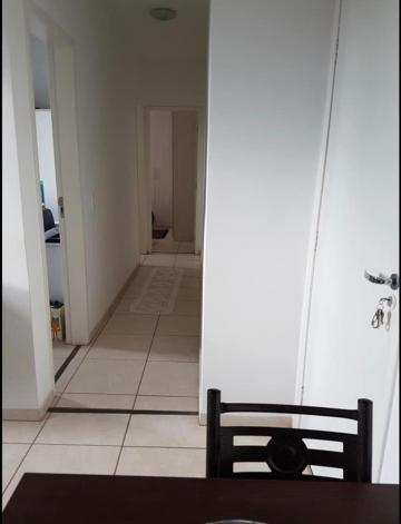 Alugar Apartamento / Padr&atilde;o em S&atilde;o Jos&eacute; do Rio Preto R$ 800,00 - Foto 5