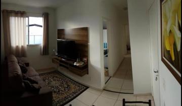 Alugar Apartamento / Padr&atilde;o em S&atilde;o Jos&eacute; do Rio Preto R$ 800,00 - Foto 3