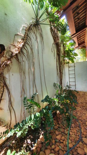 Comprar Casa / Condom&iacute;nio em S&atilde;o Jos&eacute; do Rio Preto R$ 4.800.000,00 - Foto 34