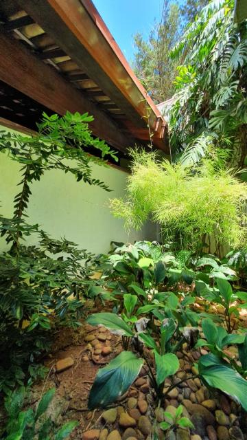 Comprar Casa / Condom&iacute;nio em S&atilde;o Jos&eacute; do Rio Preto R$ 4.800.000,00 - Foto 41